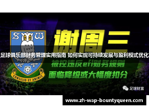 足球俱乐部财务管理实用指南 如何实现可持续发展与盈利模式优化 足球俱乐部财务管理实用指南 如何实现可持续发展与盈利模式优化